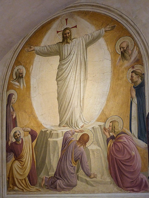 Transfiguration (cell 6)